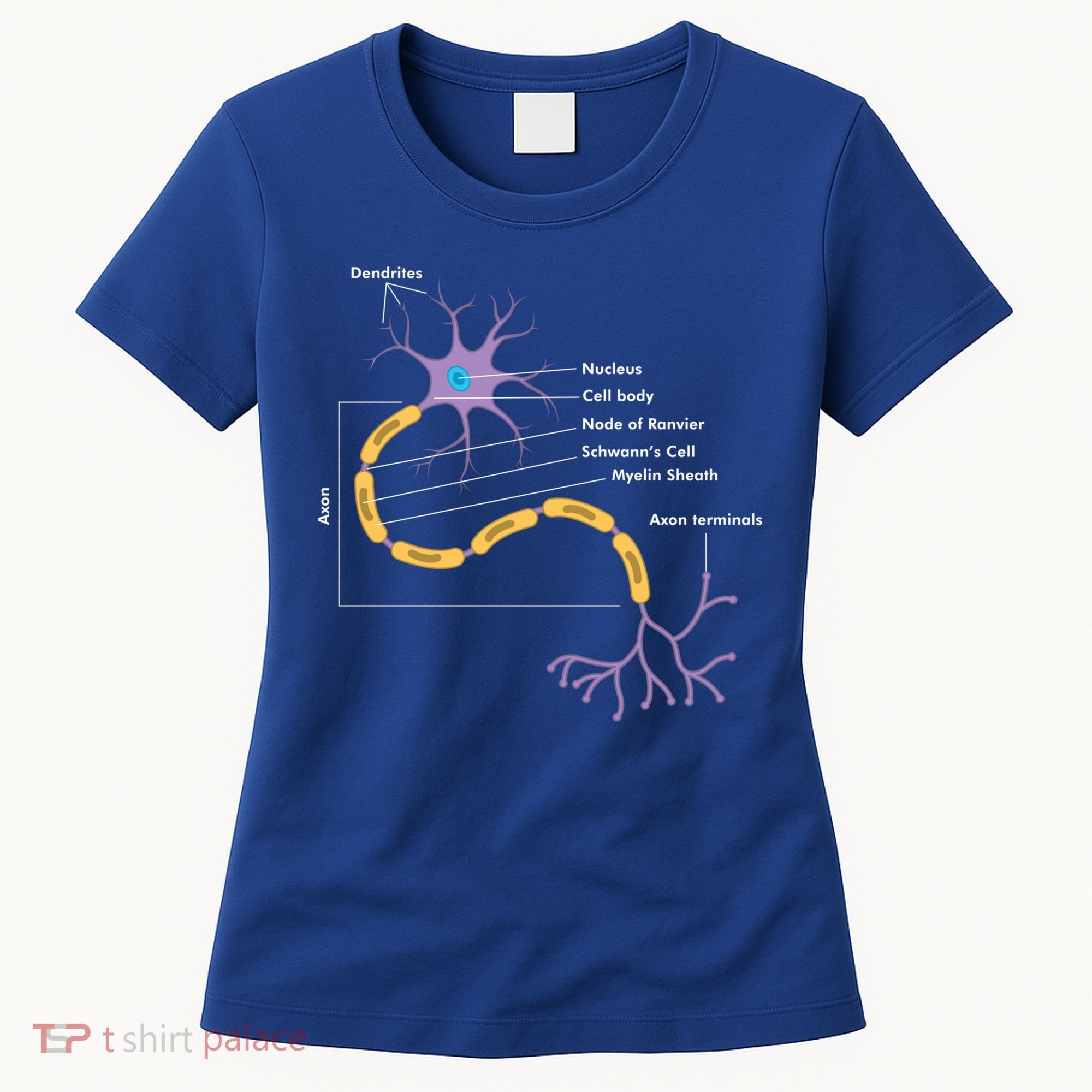 Anatomy Of Neuron Neurologist Gift Women's T-Shirt