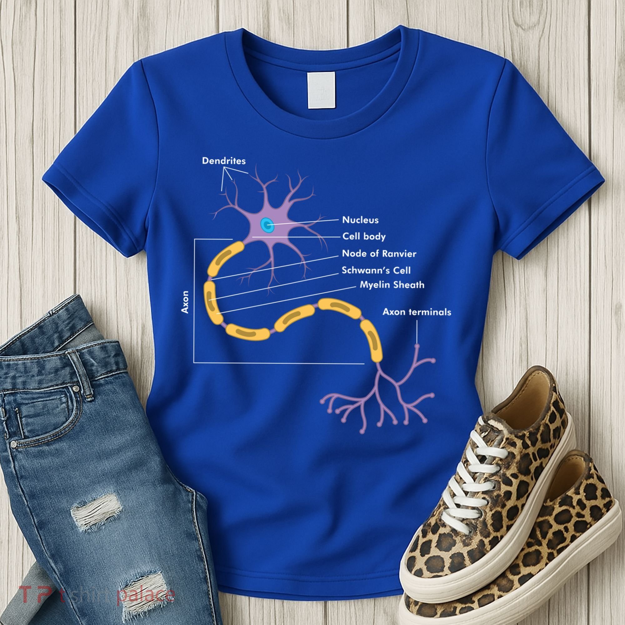 Anatomy Of Neuron Neurologist Gift Women's T-Shirt