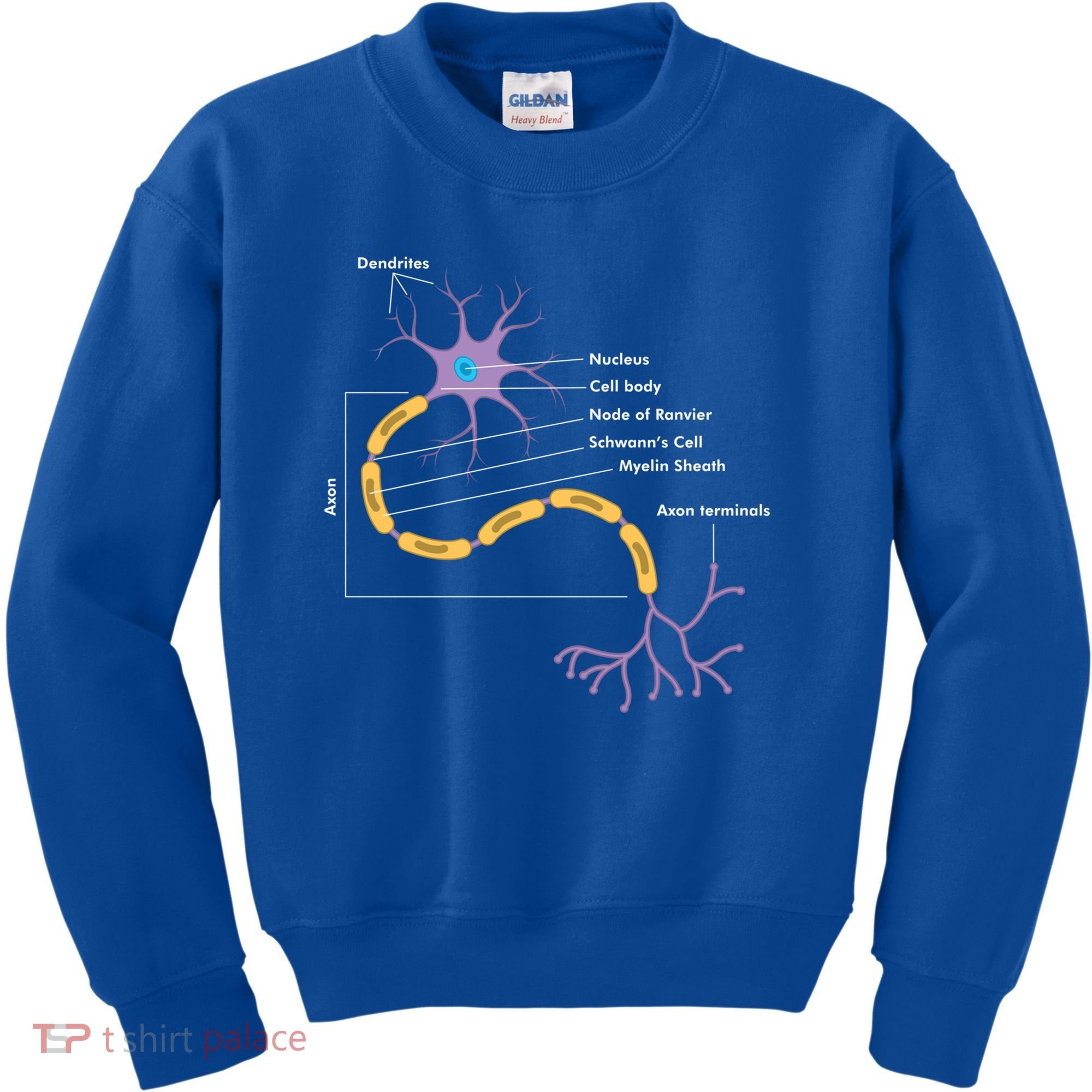 Anatomy Of Neuron Neurologist Gift Kids Sweatshirt