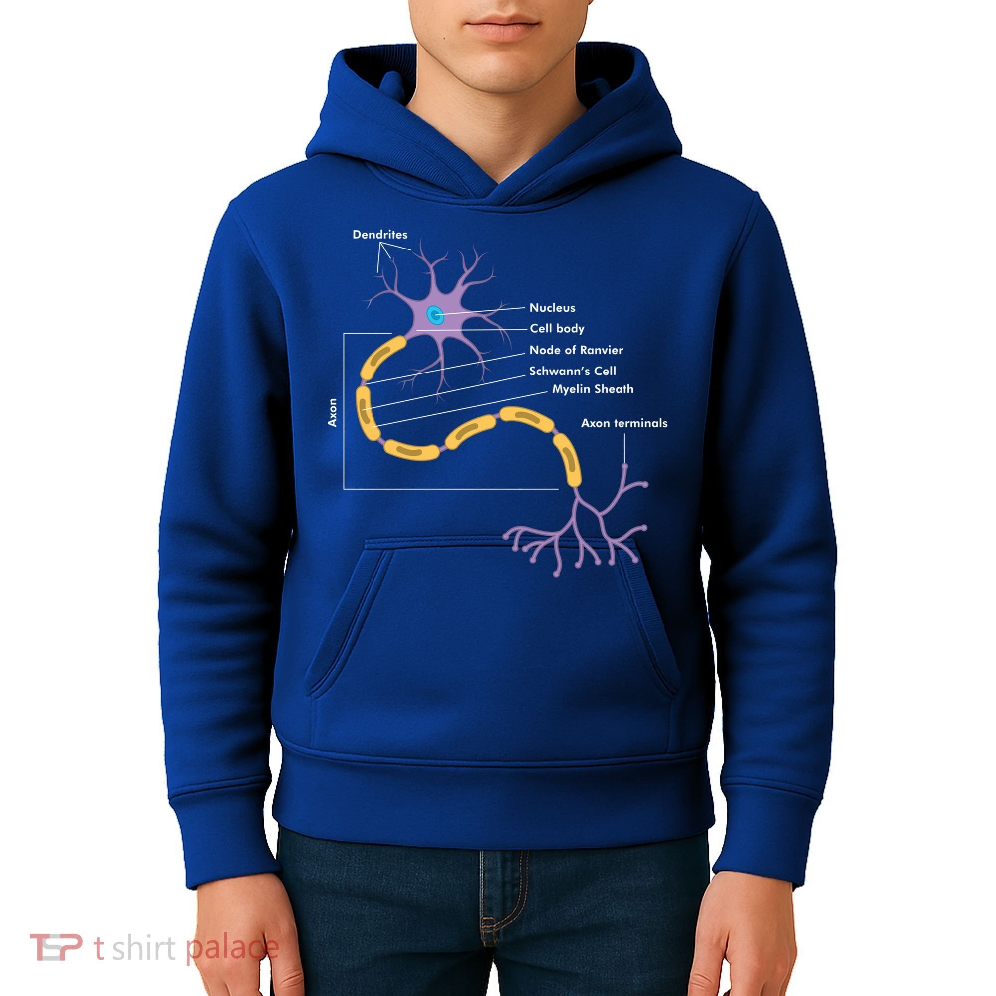 Anatomy Of Neuron Neurologist Gift Kids Hoodie