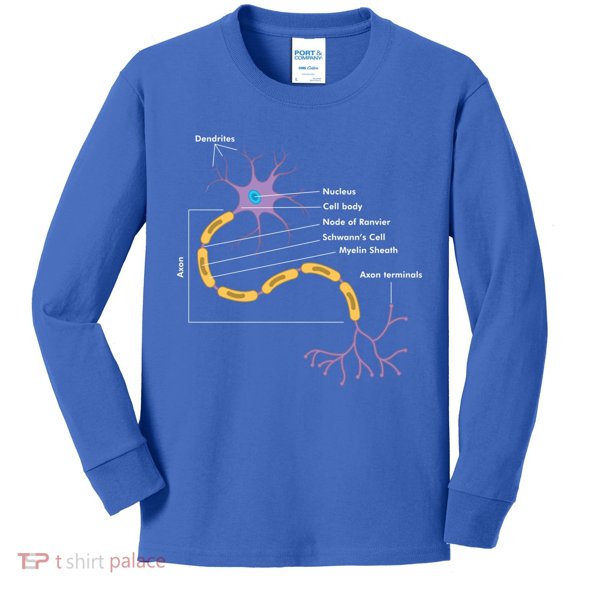 Anatomy Of Neuron Neurologist Gift Kids Long Sleeve Shirt
