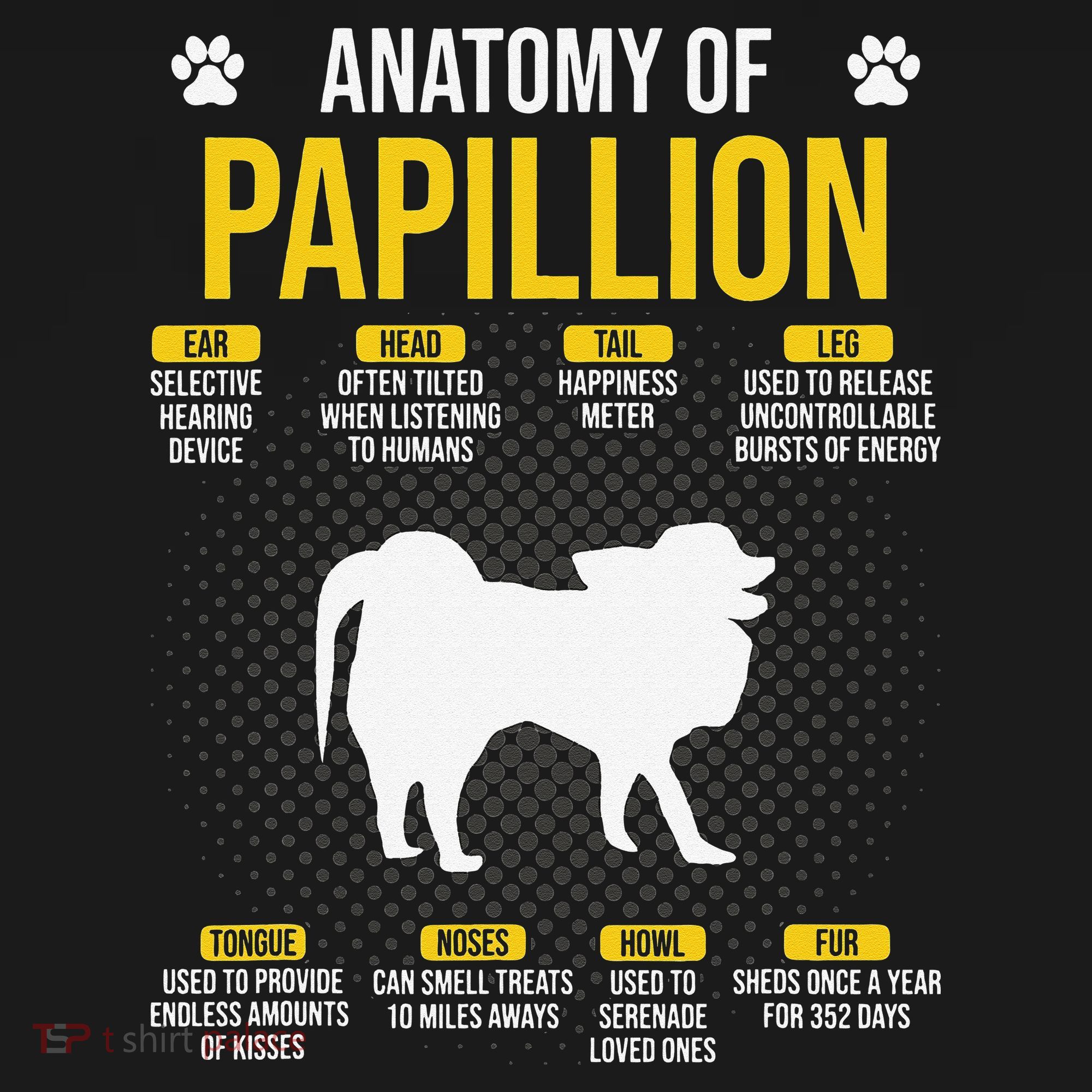 Anatomy Of Papillion Dog Lover Women's Tank Top