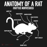 Anatomy Of Rat Rat Lovers And Pet Rat Owners Great Gift Women's Hoodie thumb 2