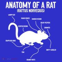 Anatomy Of Rat Rat Lovers And Pet Rat Owners Great Gift Long Sleeve Shirt thumb 2