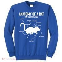 Anatomy Of Rat Rat Lovers And Pet Rat Owners Great Gift Sweatshirt thumb 0