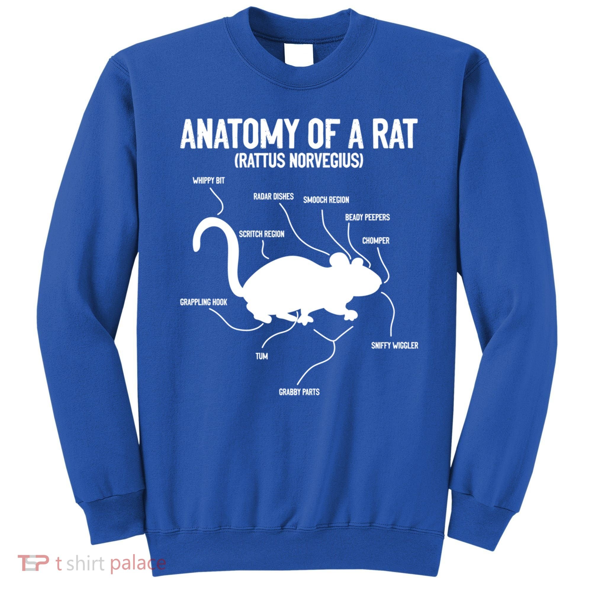 Anatomy Of Rat Rat Lovers And Pet Rat Owners Great Gift Sweatshirt