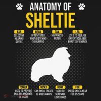Anatomy Of Sheltie Dog Lover USA-Made Doggie Bandana thumb 2