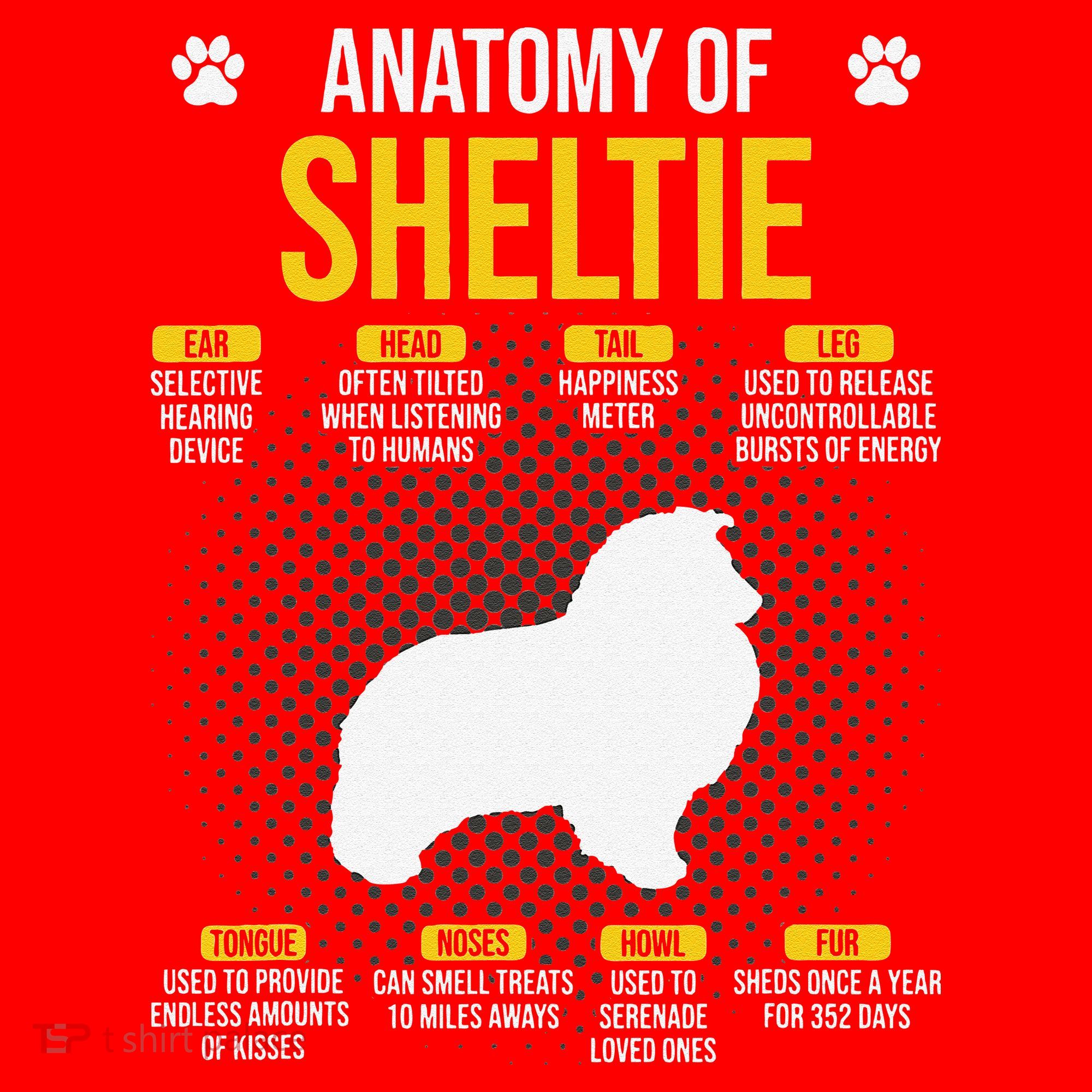 Anatomy Of Sheltie Dog Lover Santa Hat