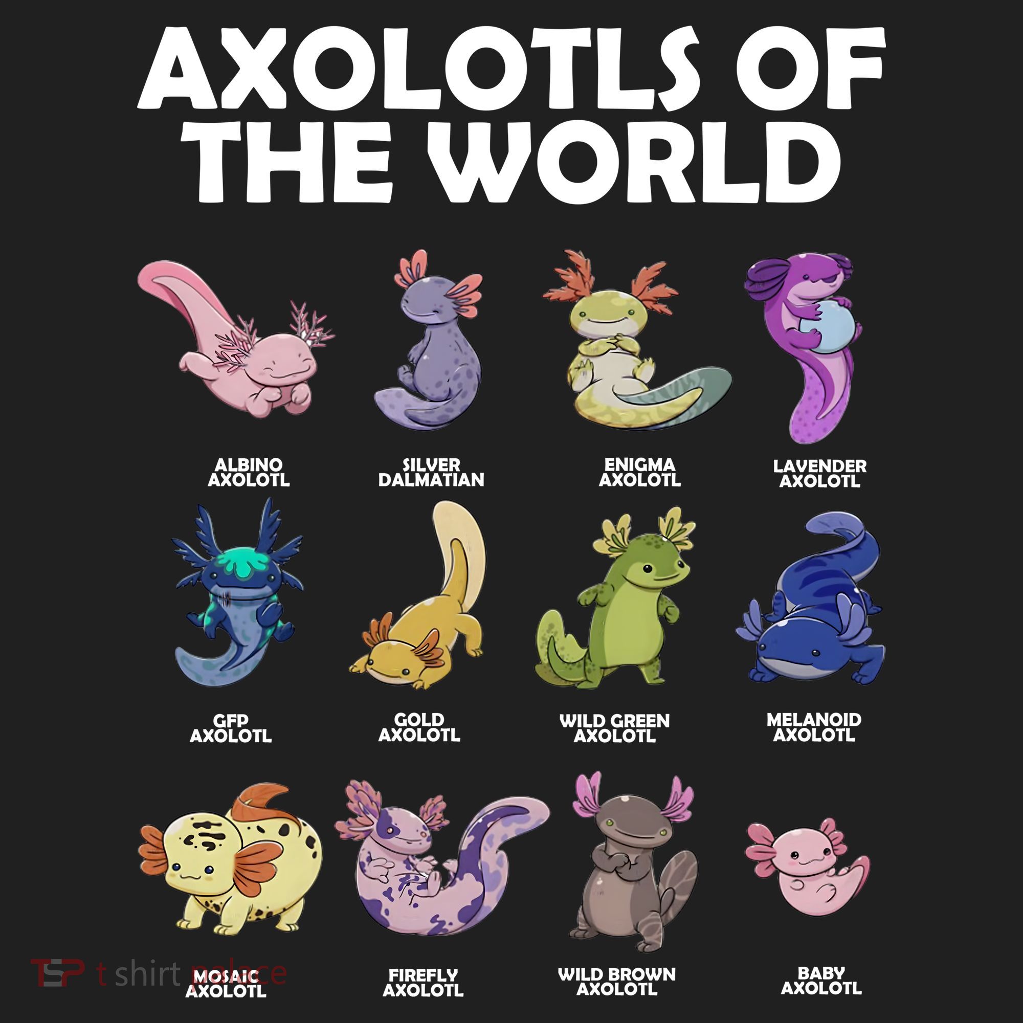 Axolotls Of The World Women's Sweatshirt