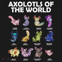Axolotls Of The World Coaster thumb 2