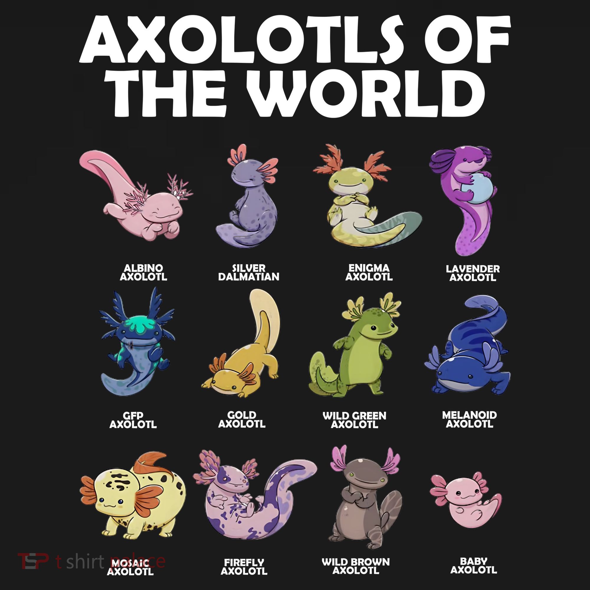 Axolotls Of The World Coaster
