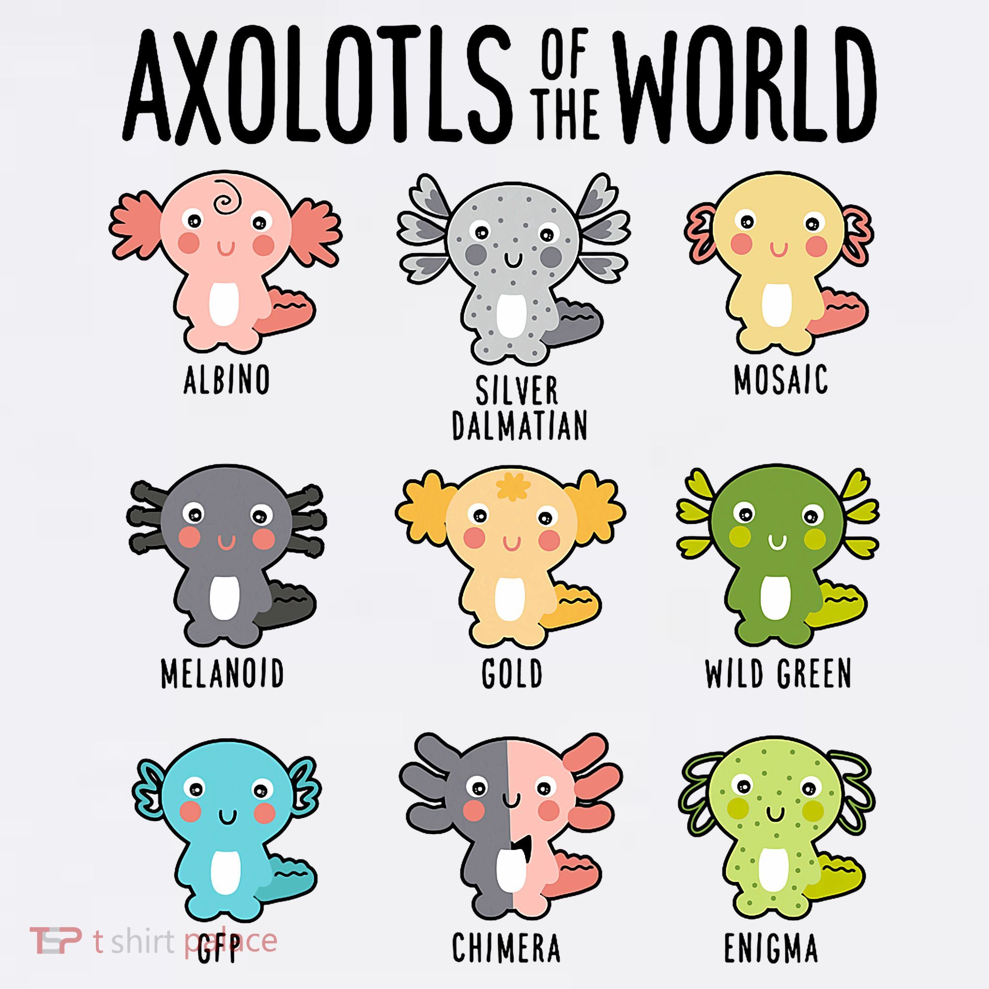 Axolotls Of The World Axolotl Amphibian Animal Lovers Kawaii Women's Tank Top