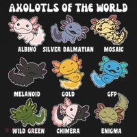 Axolotls Of The World Sweet Animals Kawaii Axolotl  Women's Tank Top thumb 5