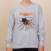 Anatomy Of Tarantula Spider Arthropod Arachnid Arachnophile Women's Sweatshirt thumb 0