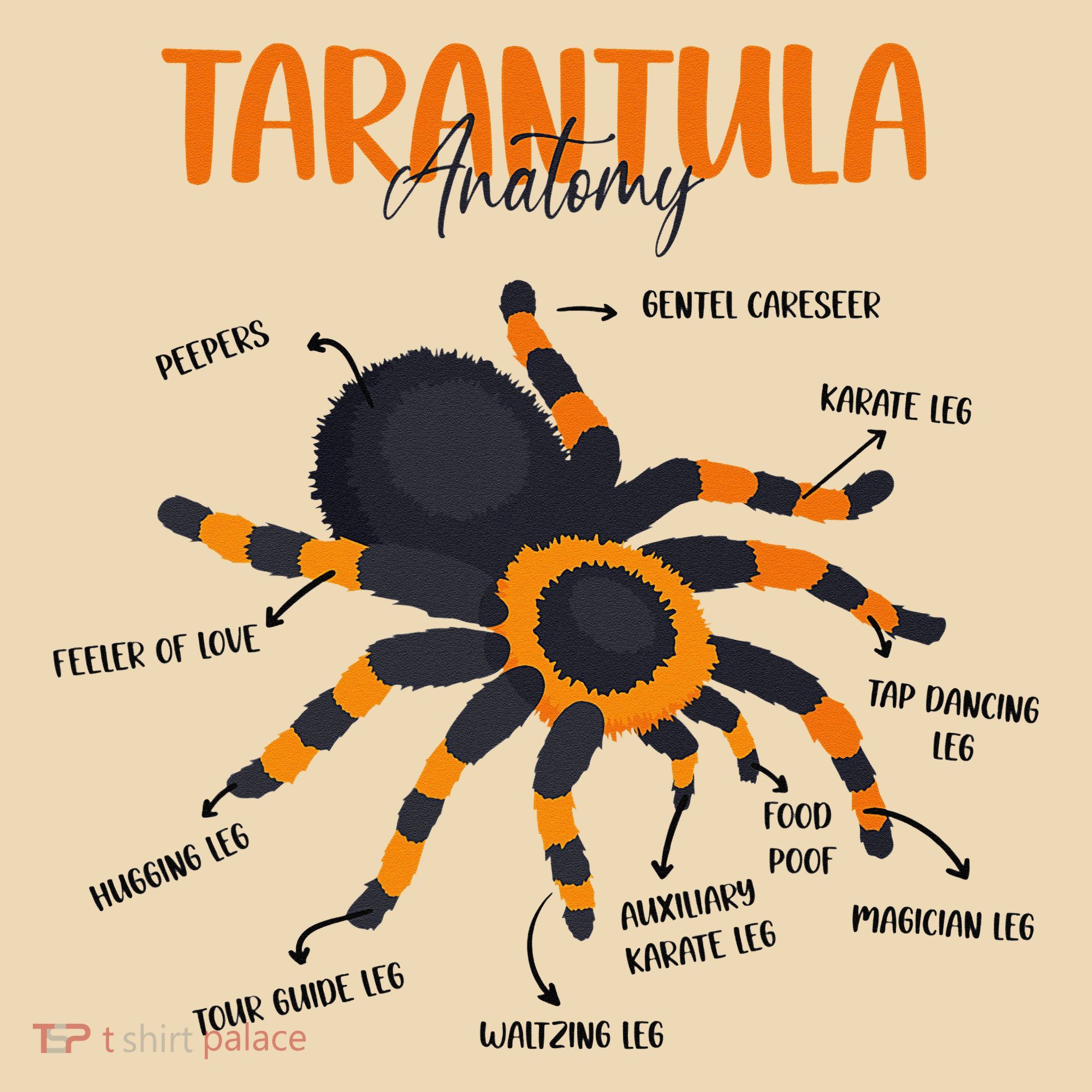 Anatomy Of Tarantula Spider Arthropod Arachnid Arachnophile Tote Bag