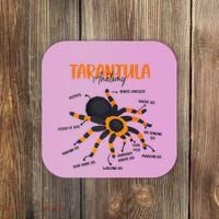Anatomy Of Tarantula Spider Arthropod Arachnid Arachnophile Coaster thumb 0