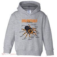 Anatomy Of Tarantula Spider Arthropod Arachnid Arachnophile Toddler Hoodie thumb 0