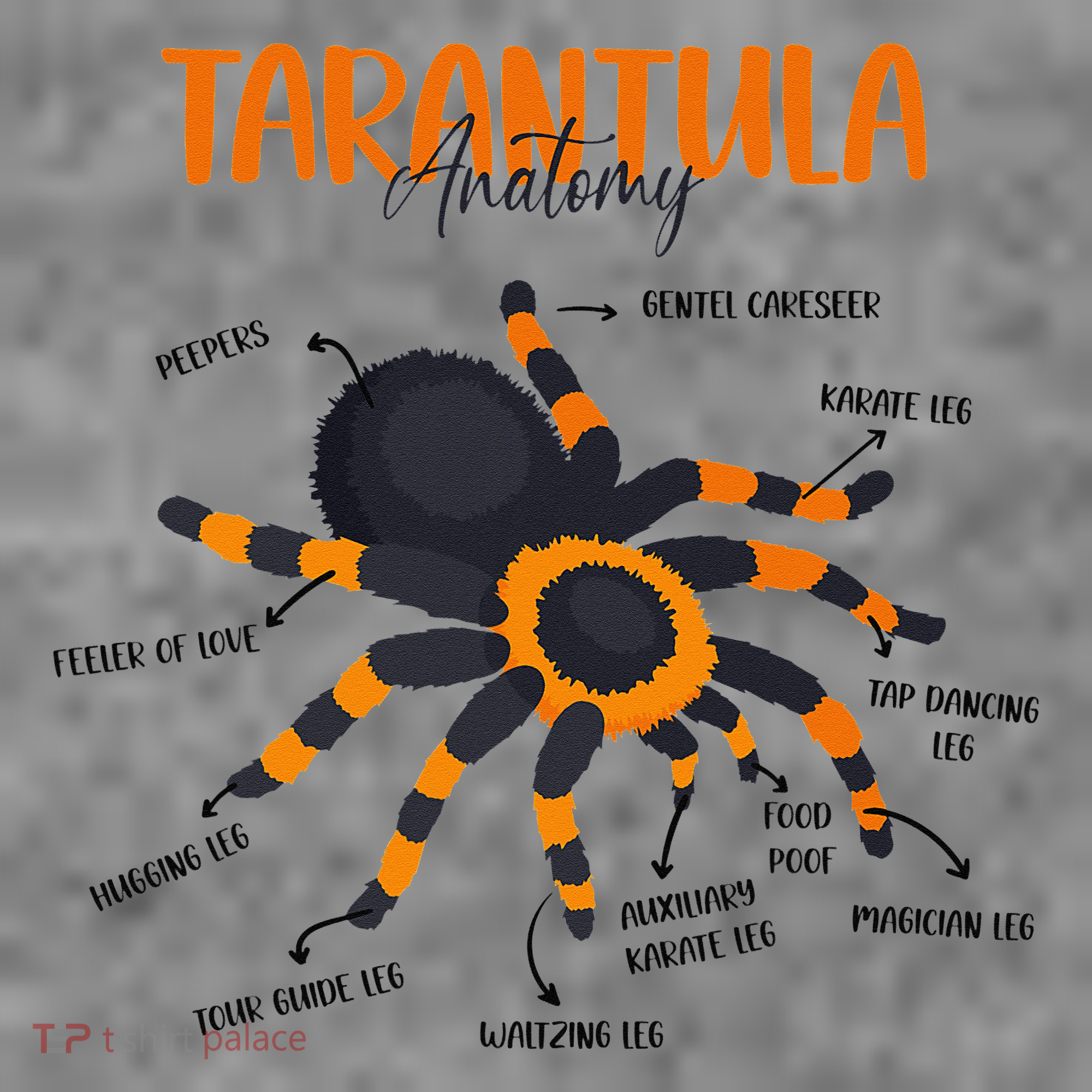 Anatomy Of Tarantula Spider Arthropod Arachnid Arachnophile Toddler Hoodie