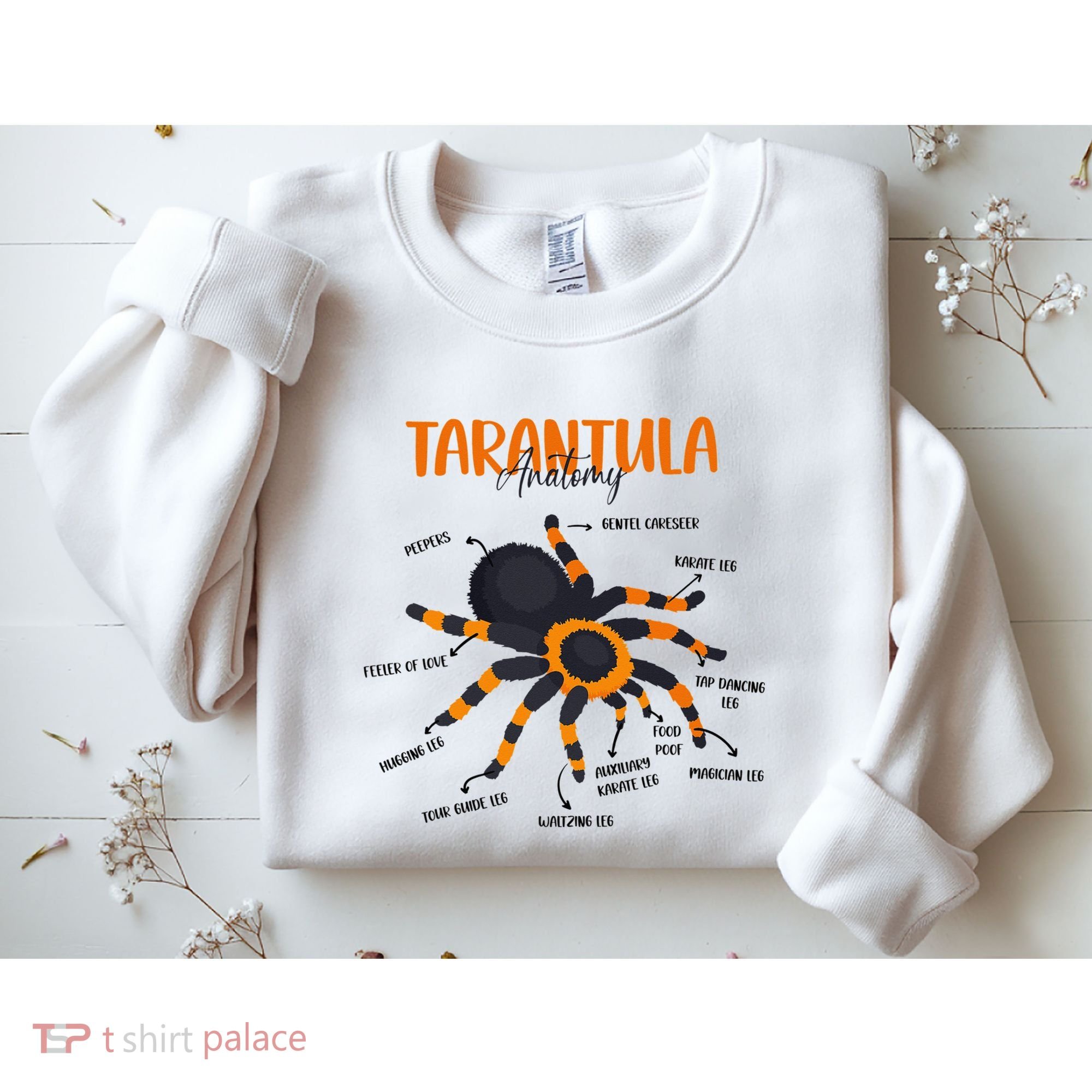 Anatomy Of Tarantula Spider Arthropod Arachnid Arachnophile Sweatshirt
