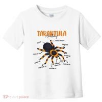 Anatomy Of Tarantula Spider Arthropod Arachnid Arachnophile Toddler T-Shirt thumb 0