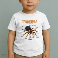 Anatomy Of Tarantula Spider Arthropod Arachnid Arachnophile Toddler T-Shirt thumb 2