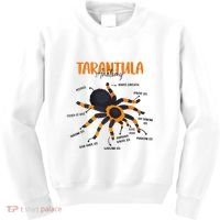 Anatomy Of Tarantula Spider Arthropod Arachnid Arachnophile Kids Sweatshirt thumb 0