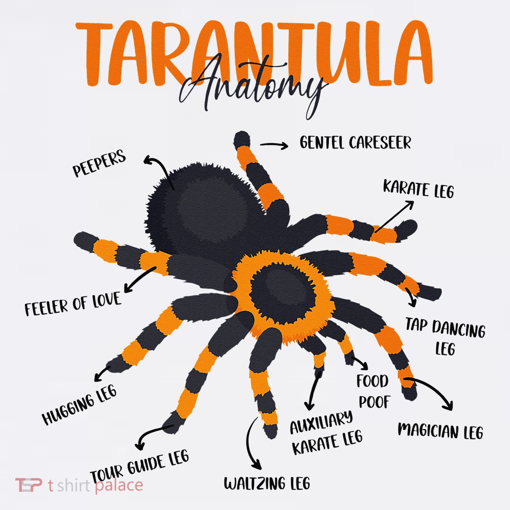 Anatomy Of Tarantula Spider Arthropod Arachnid Arachnophile Kids Sweatshirt