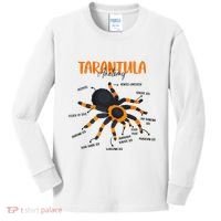 Anatomy Of Tarantula Spider Arthropod Arachnid Arachnophile Kids Long Sleeve Shirt thumb 0