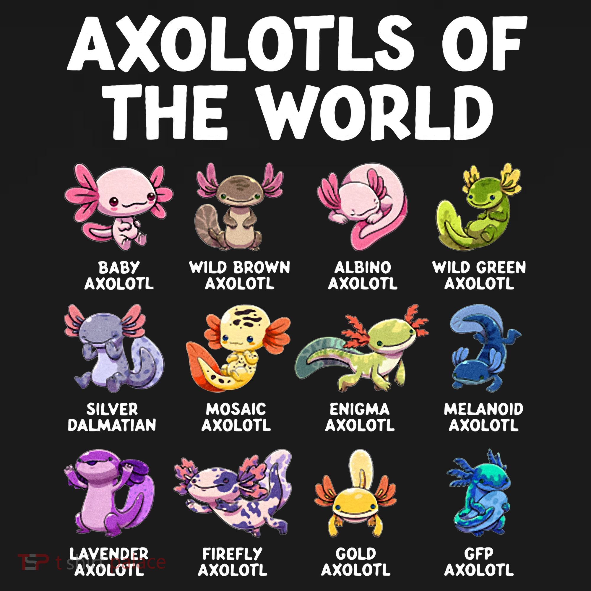 Axolotls Of The World Kawaii Types Of Axolotl Fish T-Shirt