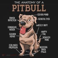 Anatomy Of The Pitbull Gift Pit Bull Bulldogs And Terriers Ornament thumb 1