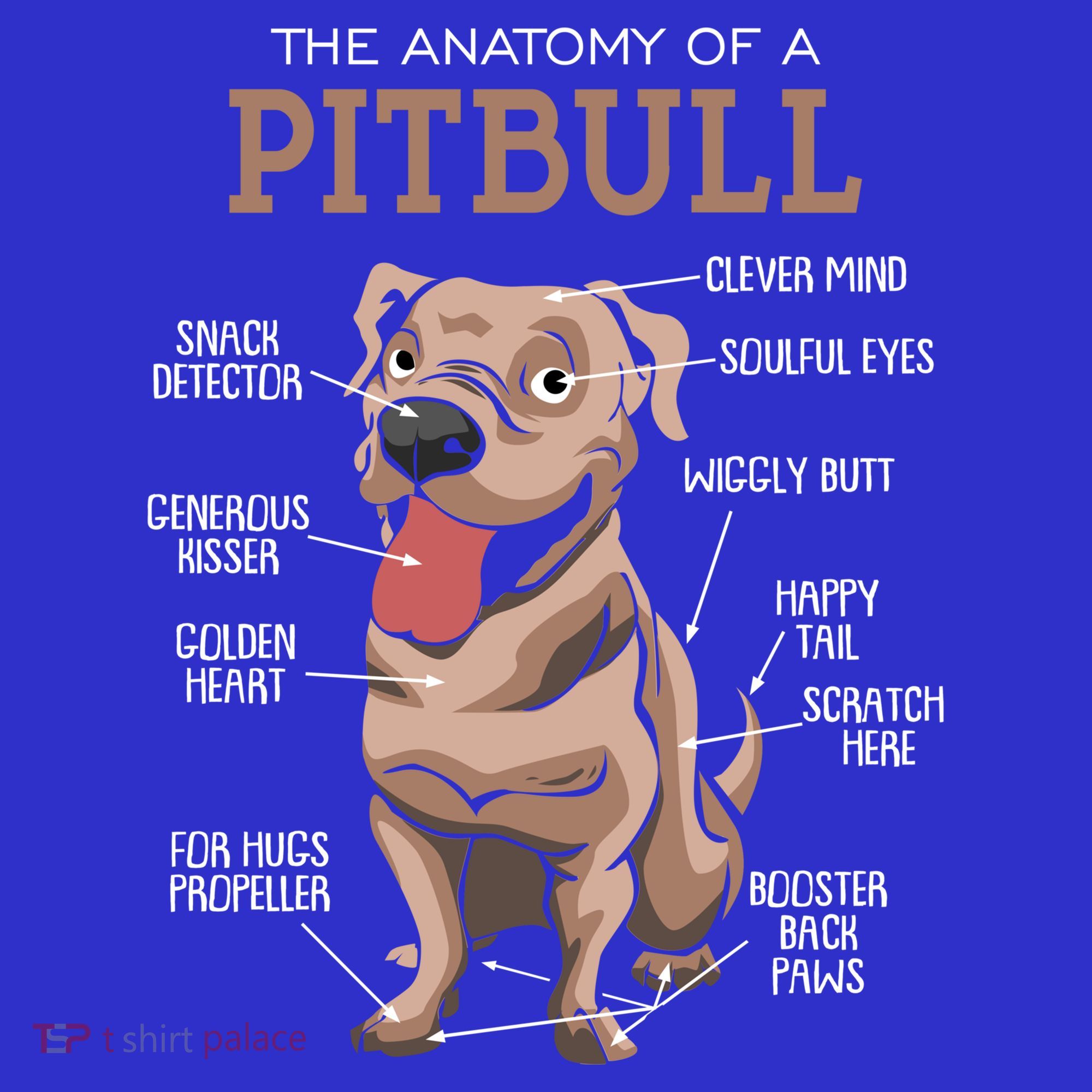 Anatomy Of The Pitbull Gift Pit Bull Bulldogs And Terriers Coaster