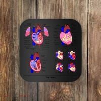 Anatomy Of The Heart Mug Coaster thumb 0