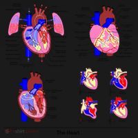 Anatomy Of The Heart Mug Tote Bag thumb 4