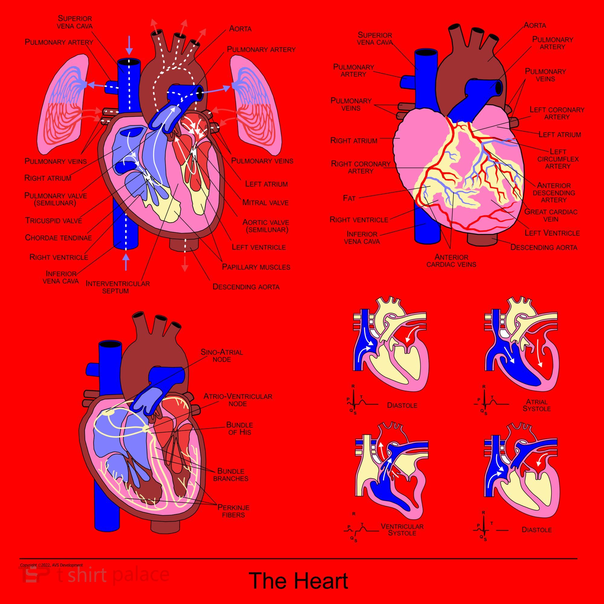 Anatomy Of The Heart Mug Santa Hat