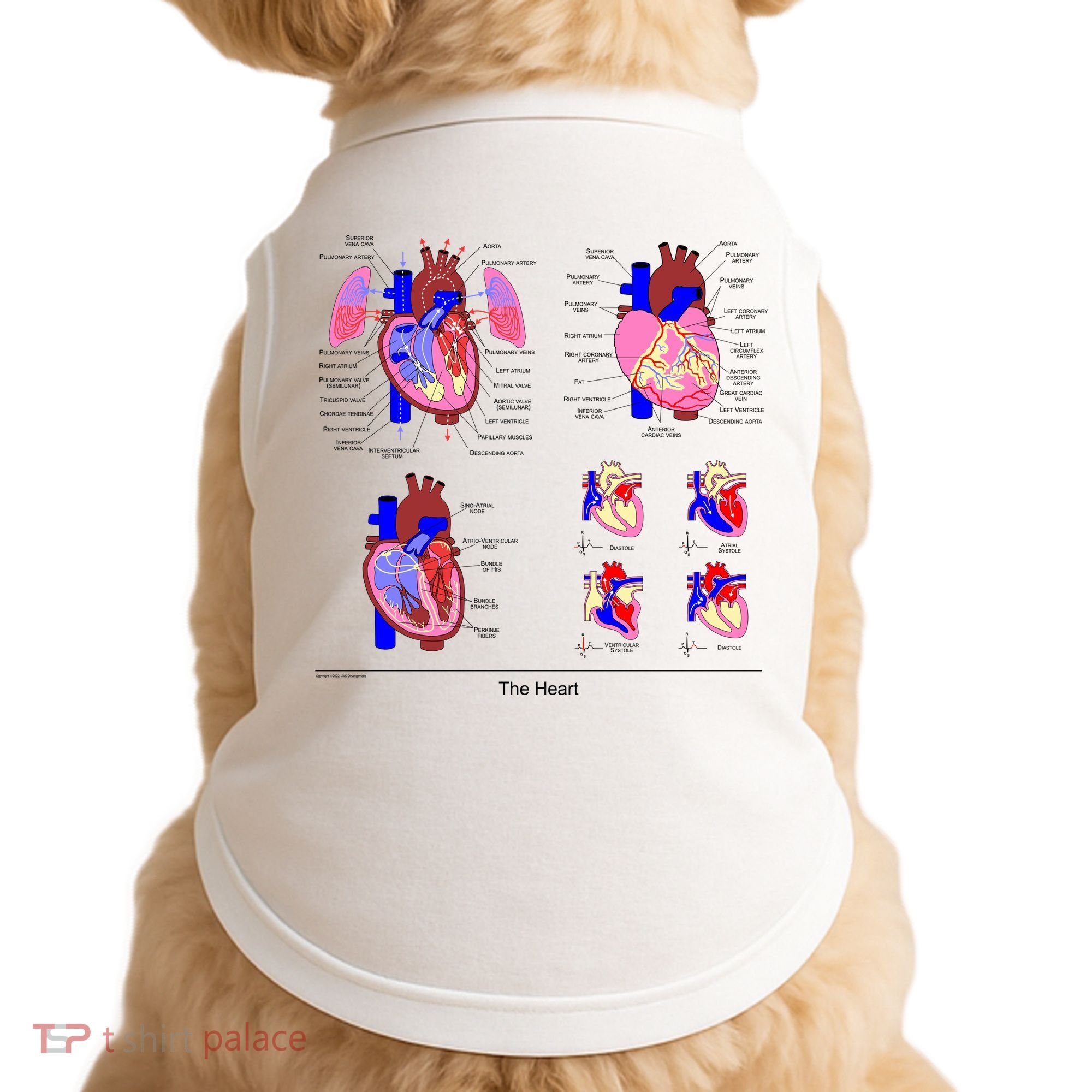 Anatomy Of The Heart Mug Doggie Tank