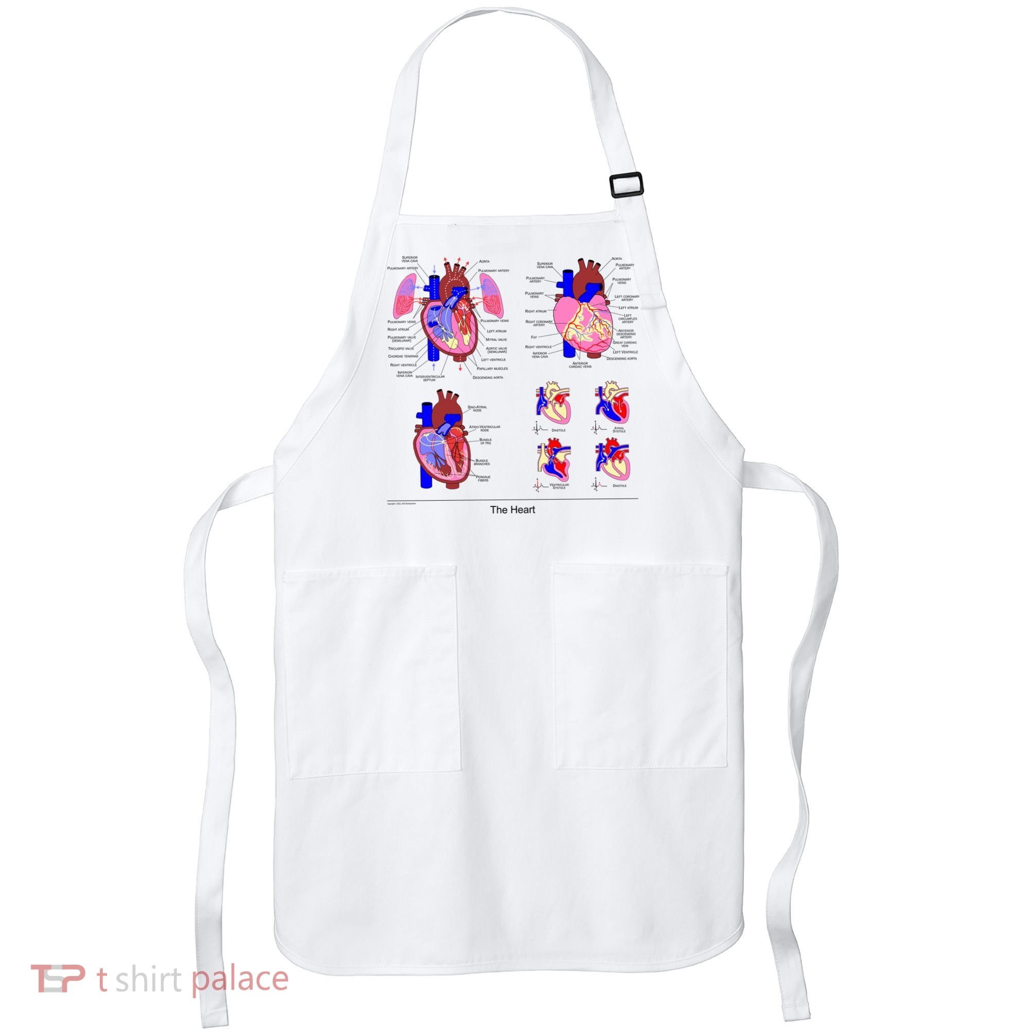 Anatomy Of The Heart Mug Apron