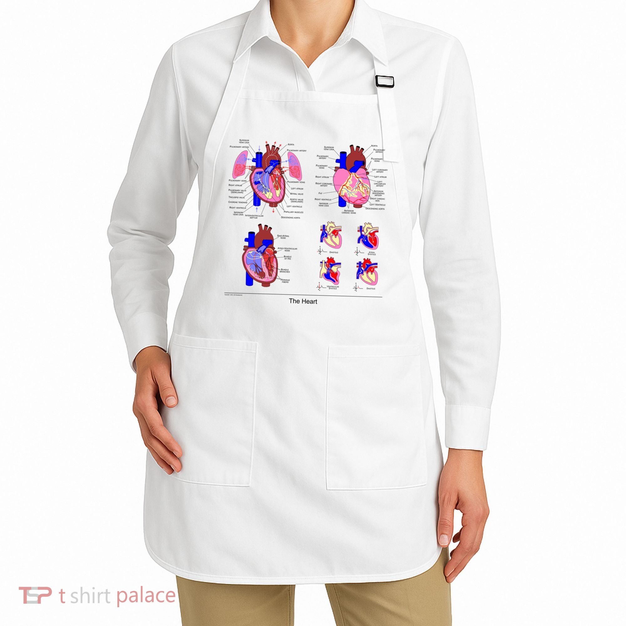 Anatomy Of The Heart Mug Apron