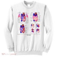 Anatomy Of The Heart Mug Sweatshirt thumb 0