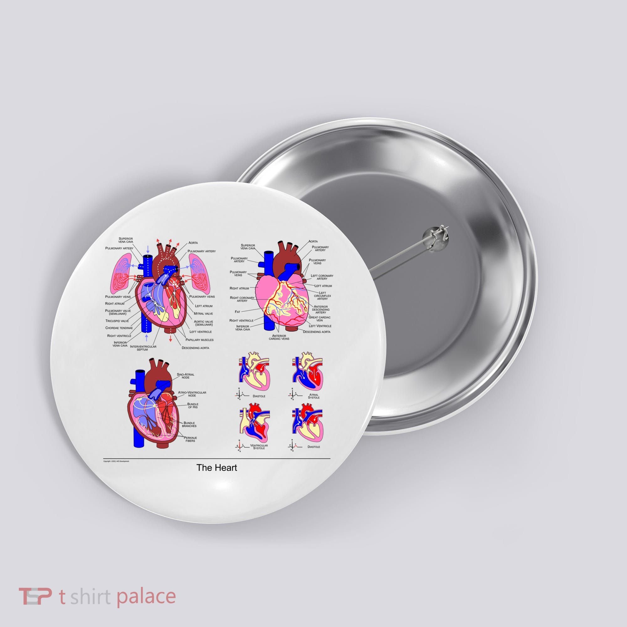 Anatomy Of The Heart Mug Button