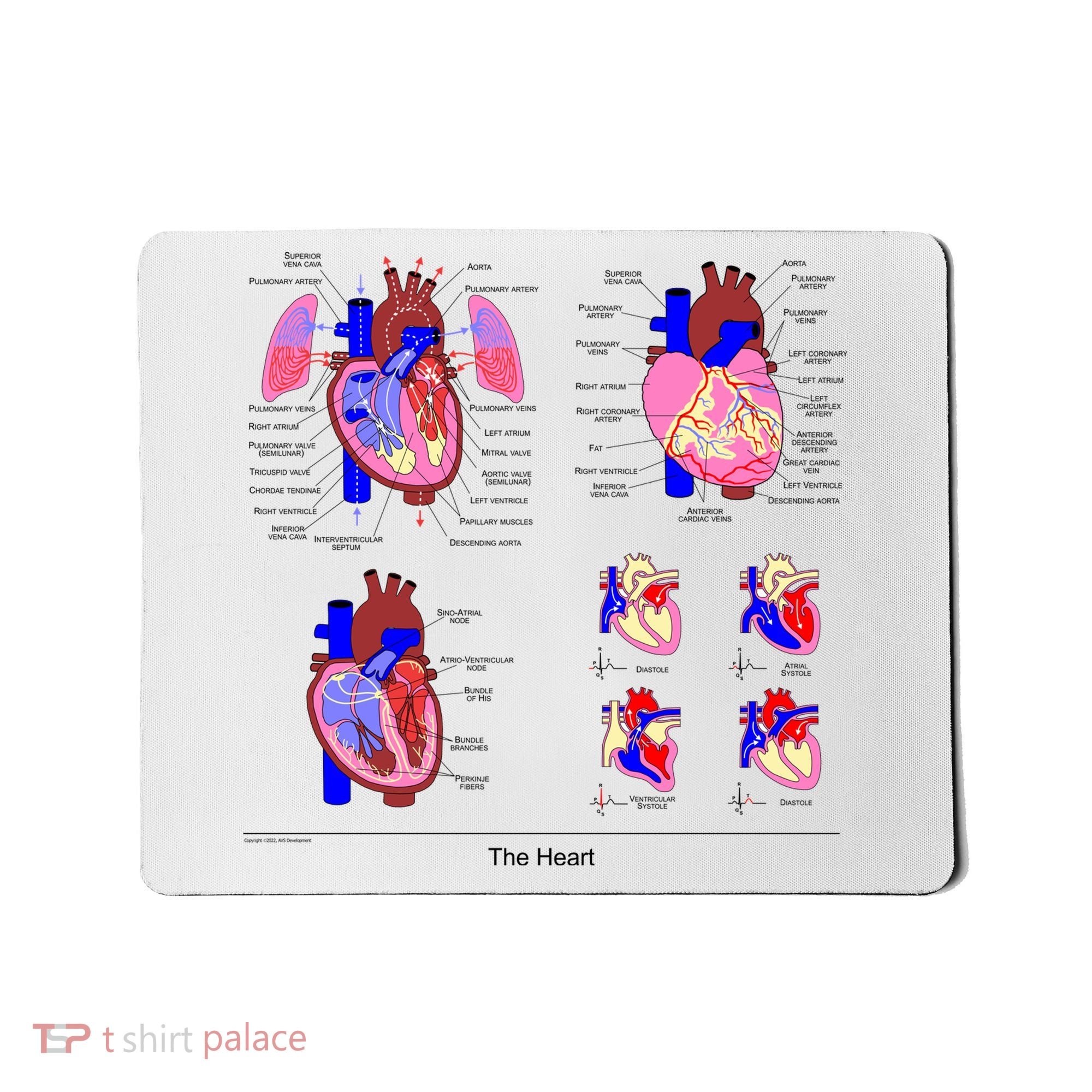 Anatomy Of The Heart Mug Mousepad