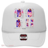 Anatomy Of The Heart Mug Hat thumb 0