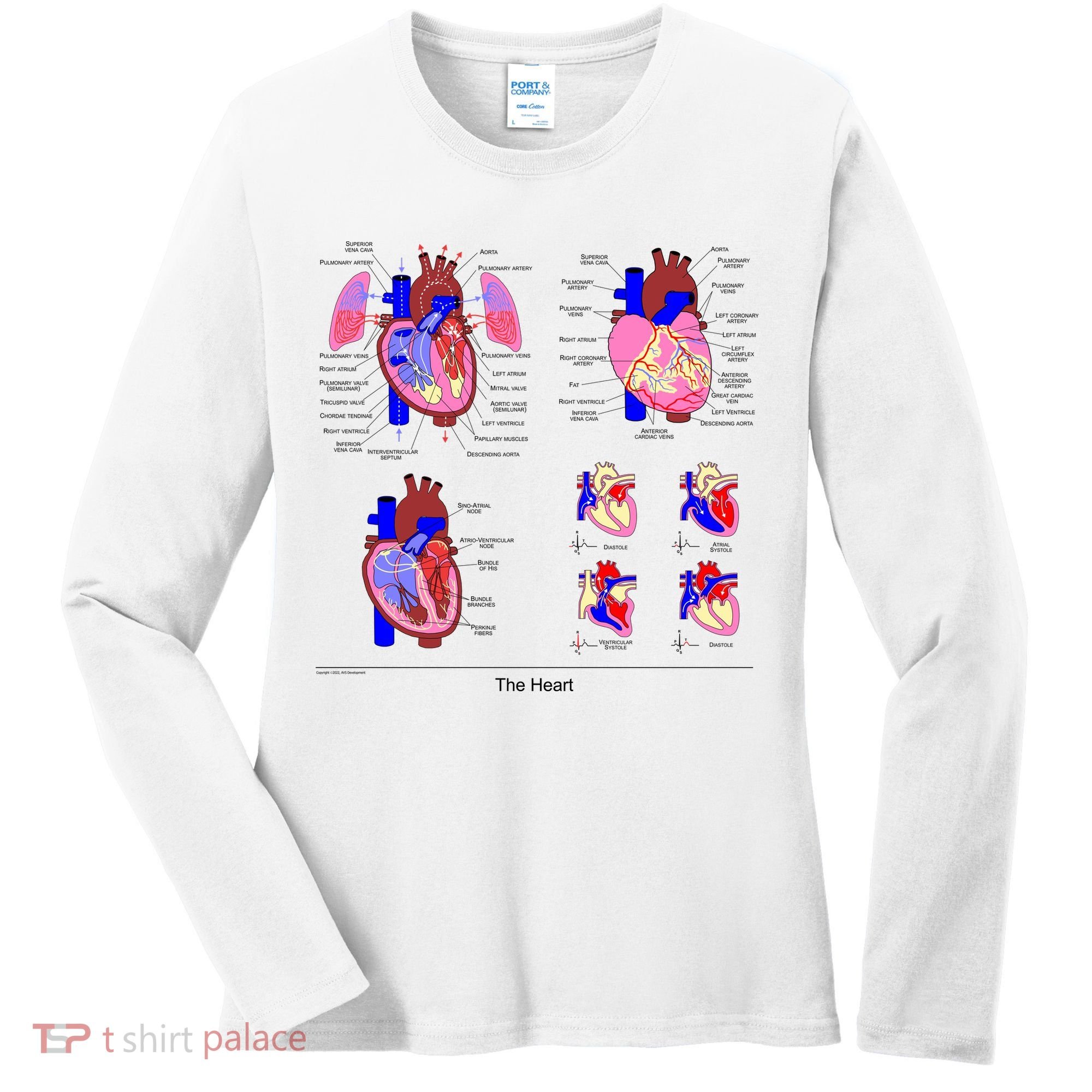 Anatomy Of The Heart Mug Women's Long Sleeve Shirt