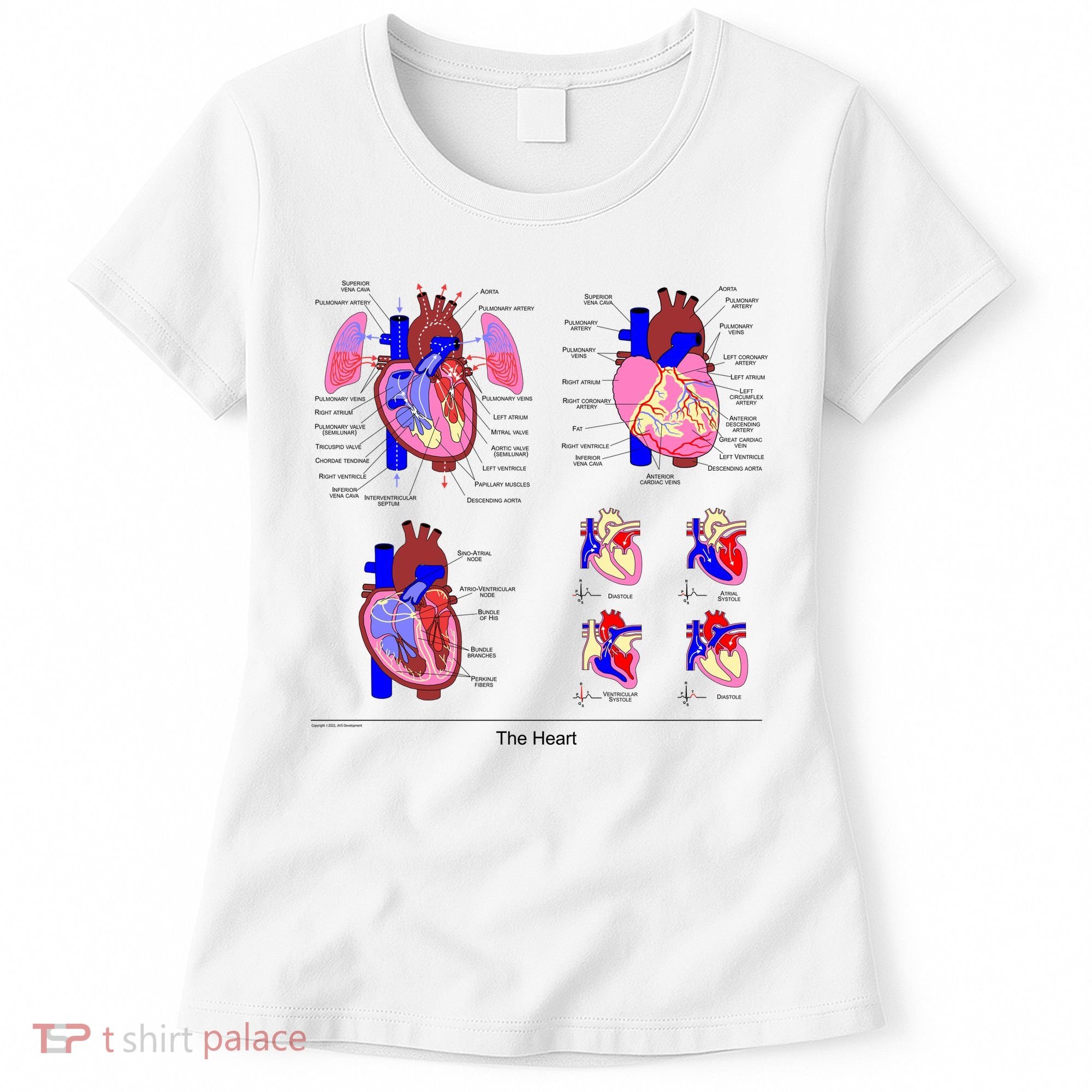 Anatomy Of The Heart Mug Women's T-Shirt