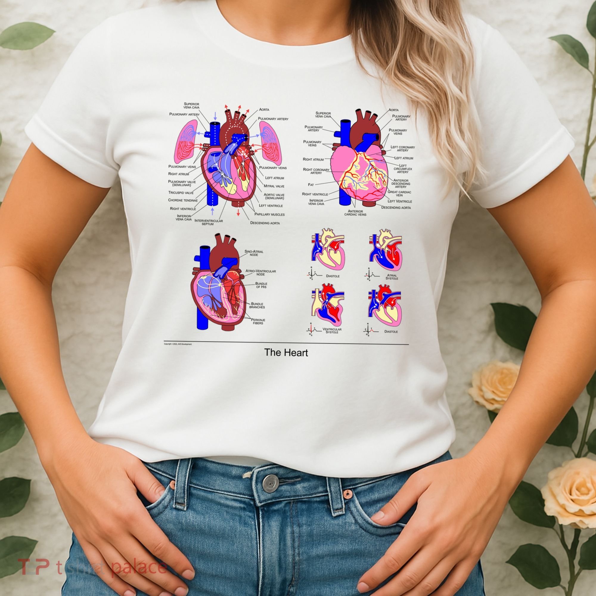 Anatomy Of The Heart Mug Women's T-Shirt