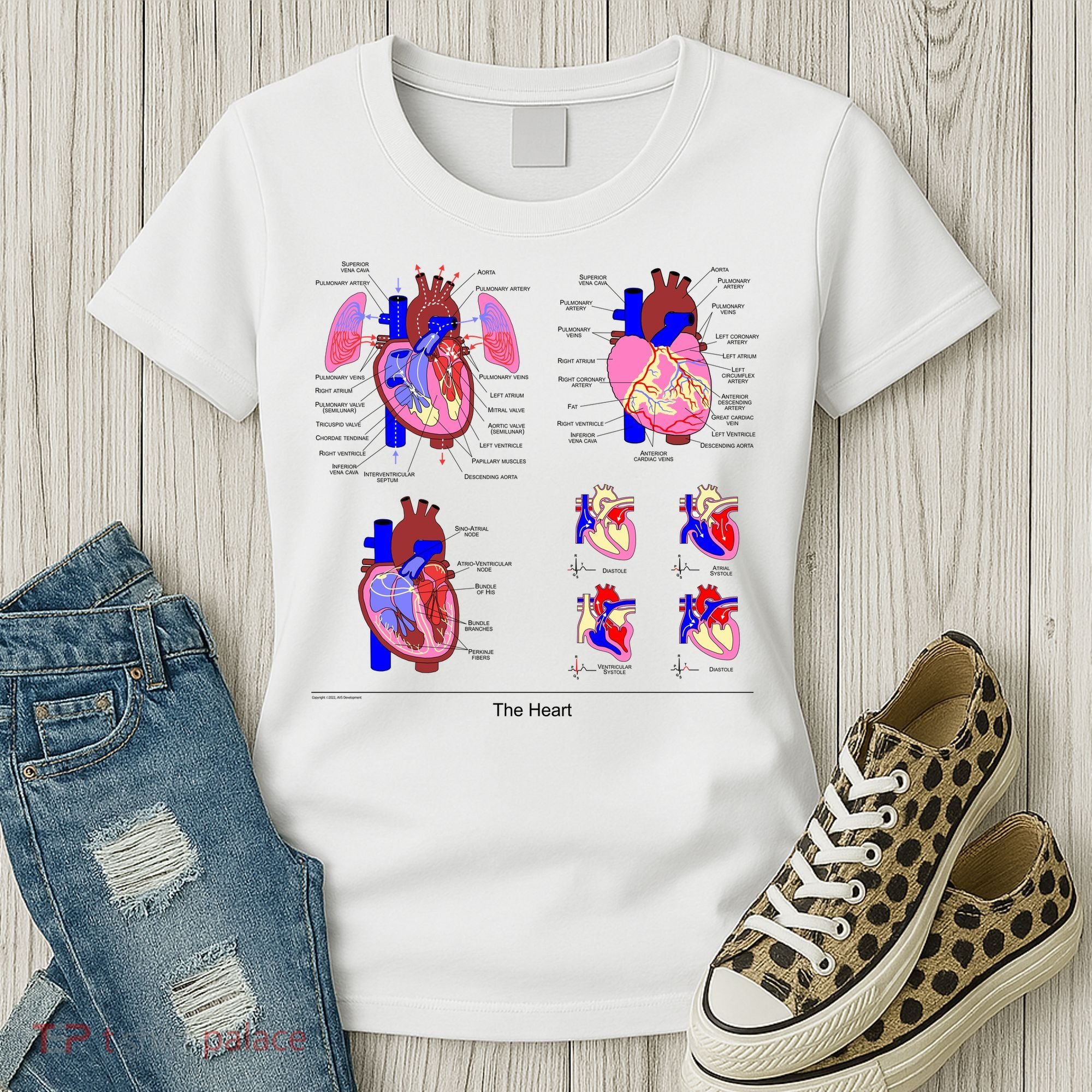 Anatomy Of The Heart Mug Women's T-Shirt