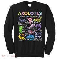 Axolotls Of The World Axolotl Kawaii Animals Salamander Sweatshirt thumb 0