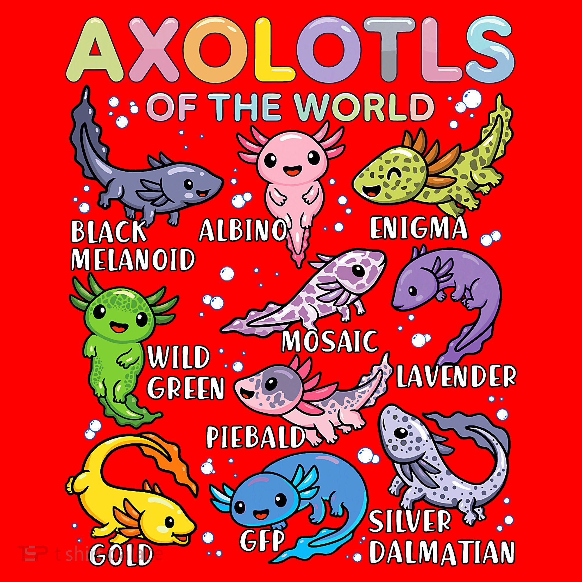 Axolotls Of The World Axolotl Kawaii Animals Salamander Santa Hat