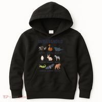 Animals Of The World Trash Panda Danger Noodle Kids Hoodie thumb 0