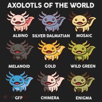  Axolotl Of World  Women's Sweatshirt thumb 2