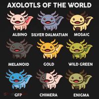  Axolotl Of World  Ornament thumb 1